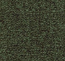 Ковролин Radici Trotter Foresta 2405 фото 1 | FLOORDEALER